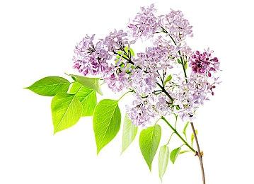 《堡垒之夜》公布5V5对战FPS模式 下周正式上线